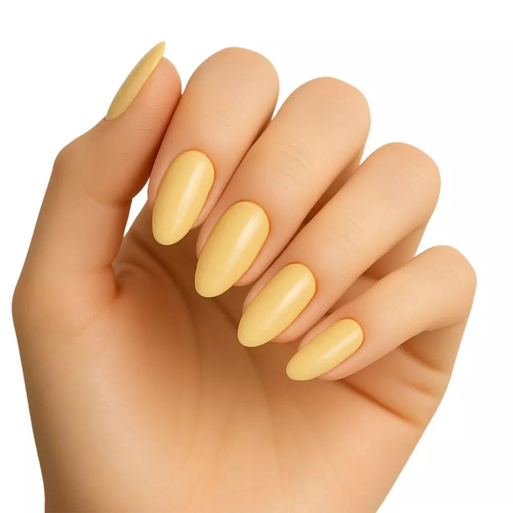 Pierre Cardin Paris Studio Nails
