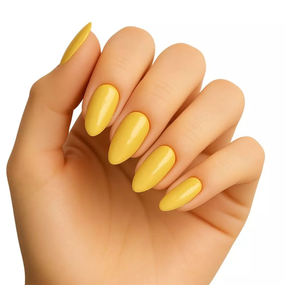 Pierre Cardin Paris Studio Nails