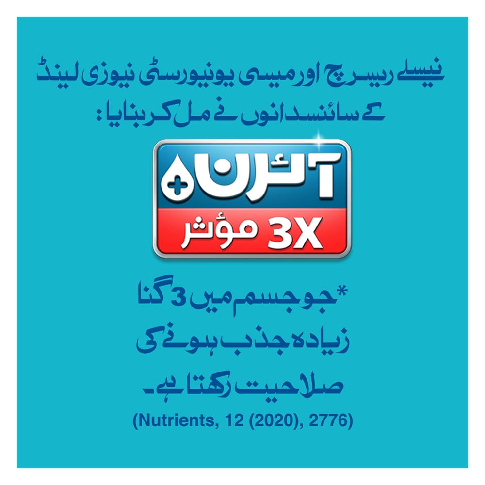 Nestle Bunyad Milk Powder 260g
