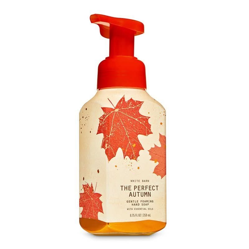 Bath Body Cleansing Hand Wash